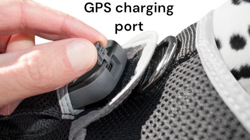 Pet Tracker Best Dog Tracking Device GPS GSM Waterproof Pocket Pet Locator Size:S